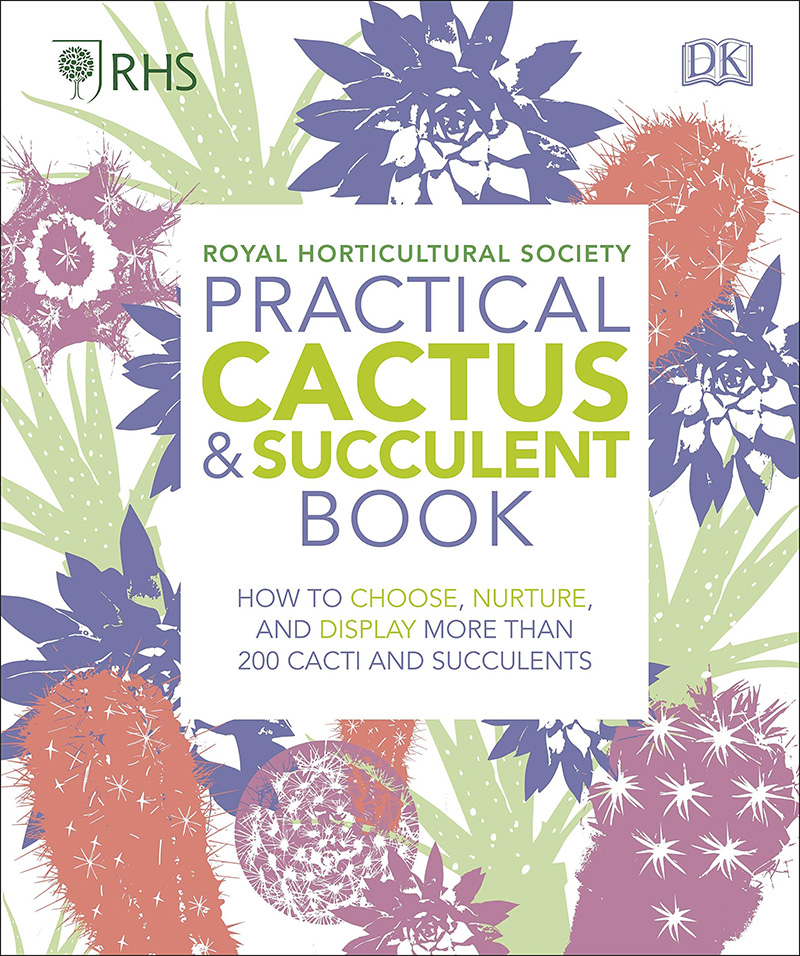 como cuidar cactus y suculentas