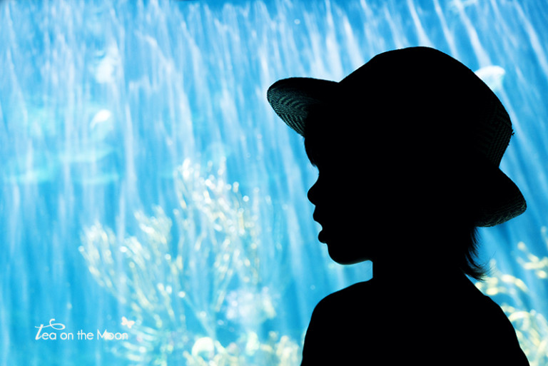 Cómo hacer fotos a contraluz Hello! Creatividad